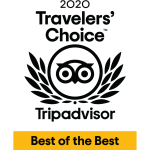 Travelers choice tripadvisor logo